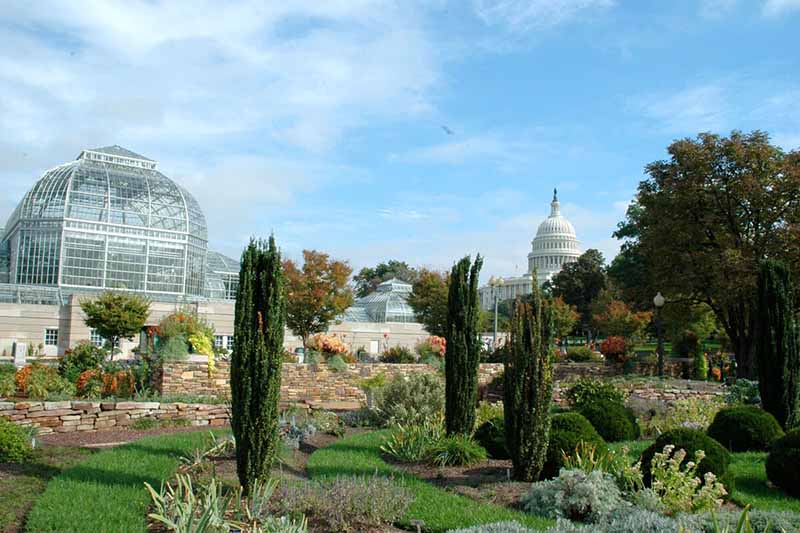 Ten Must See Sights in Washington DC - US National Zoological Park and US Botanic Gardens